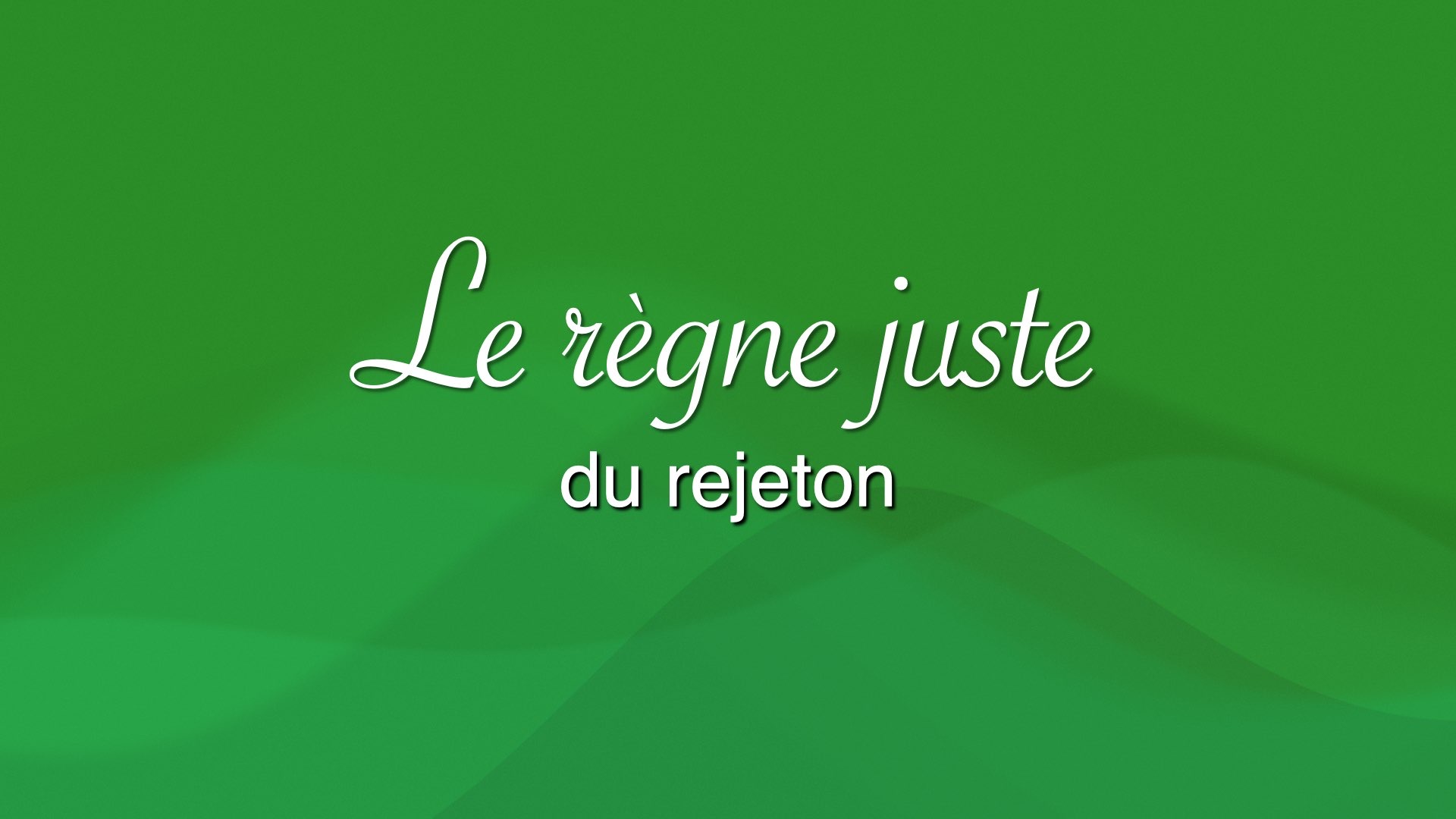 Rejeton 001